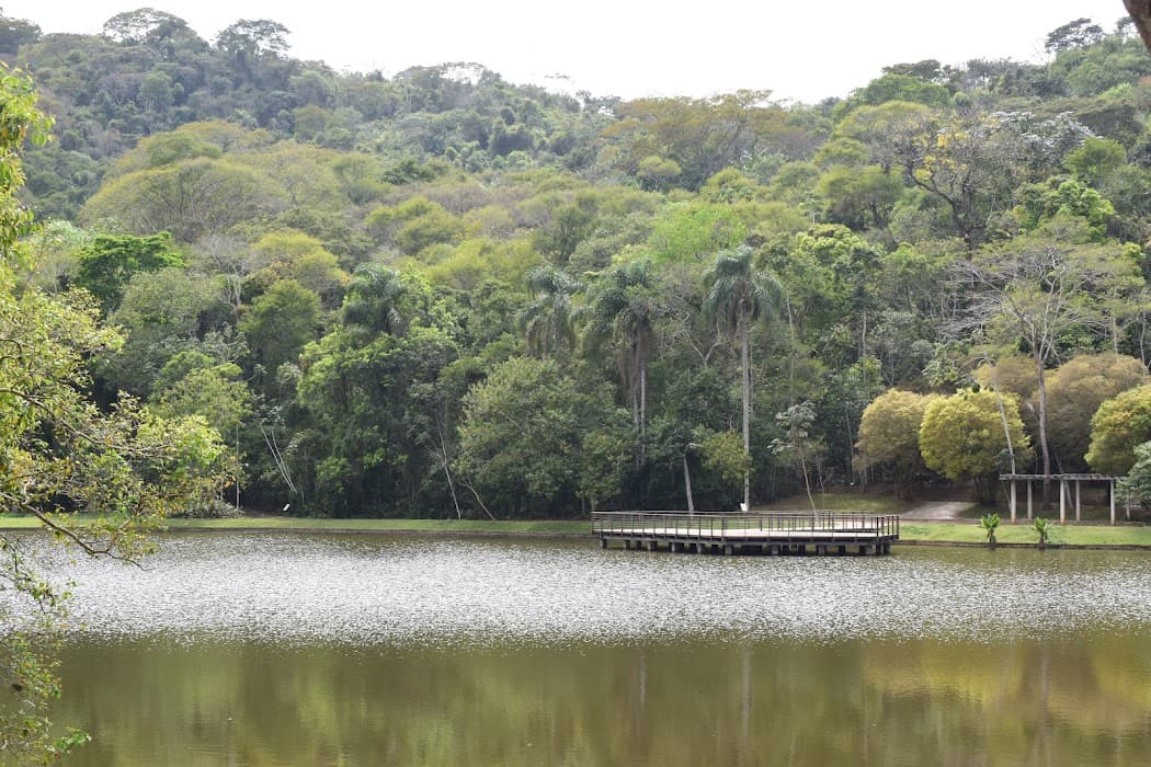 Jardim Botânico da UFJF