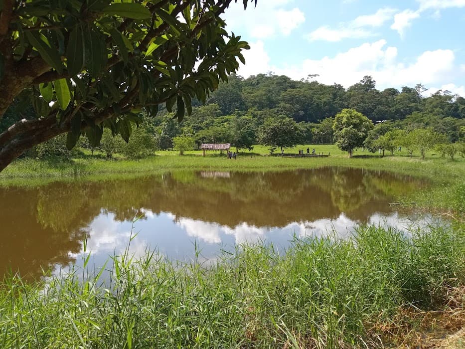 Floresta Nacional de Pacotuba