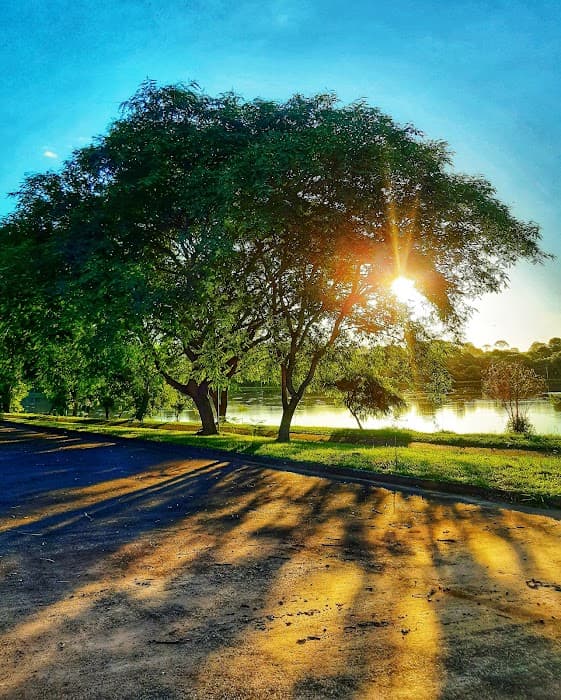 Floresta Nacional de Irati