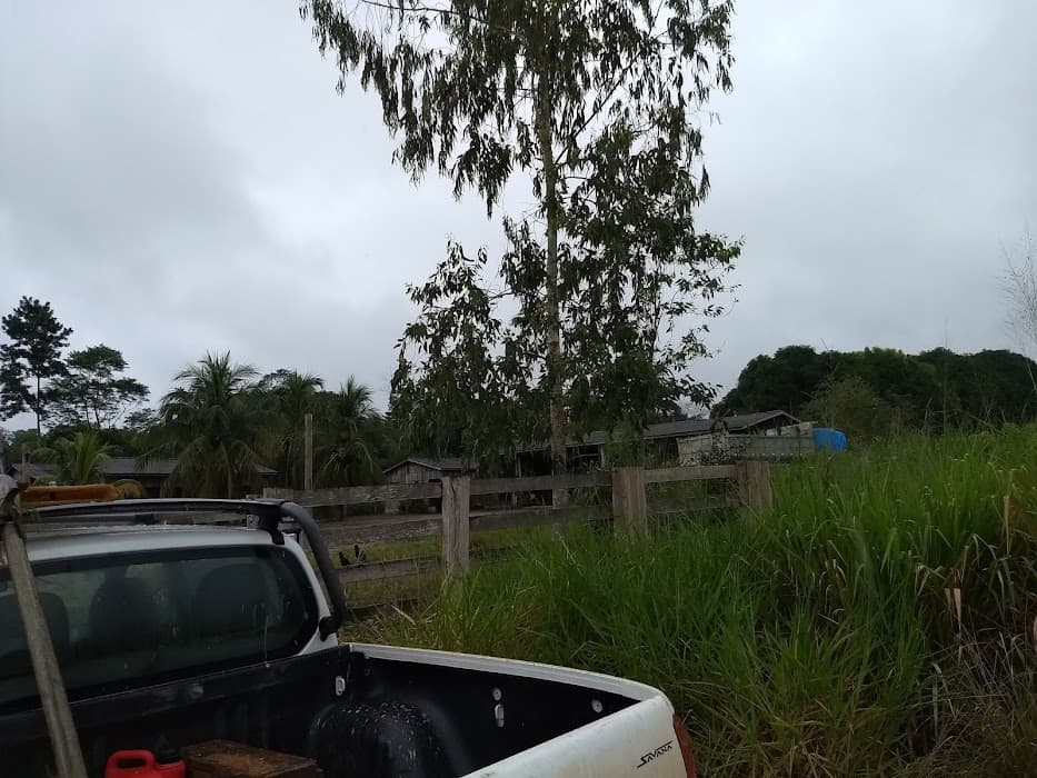 Parque Nacional da Amazônia