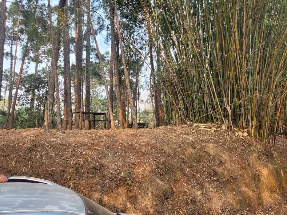 Floresta Nacional de Passa Quatro