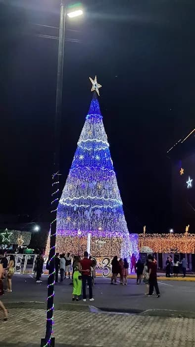 Floresta Estadual do Rio Liberdade