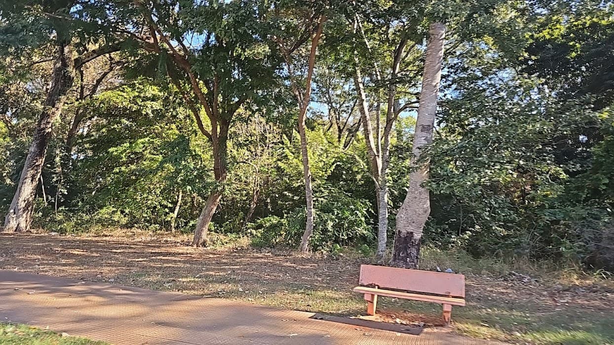 Parque Municipal Matinha