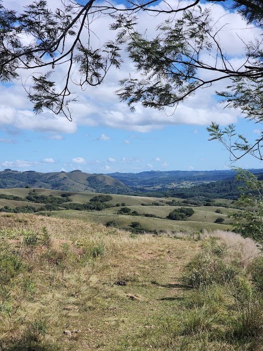 Descubra a beleza do Parque Estadual do Podocarpus e suas trilhas em meio à natureza exuberante