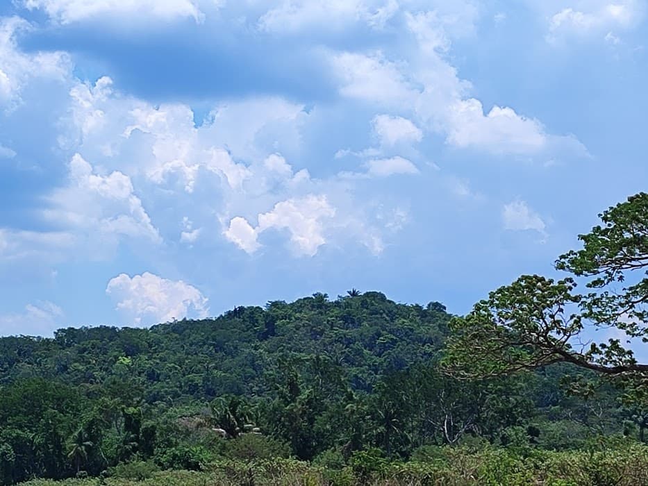 Descubra a natureza exuberante e as aventuras do Parque Estadual de Corumbiara