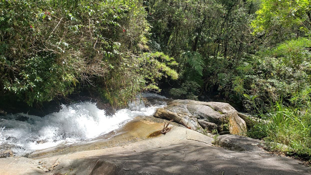Parque Estadual Campos do Jordão (Horto Florestal)