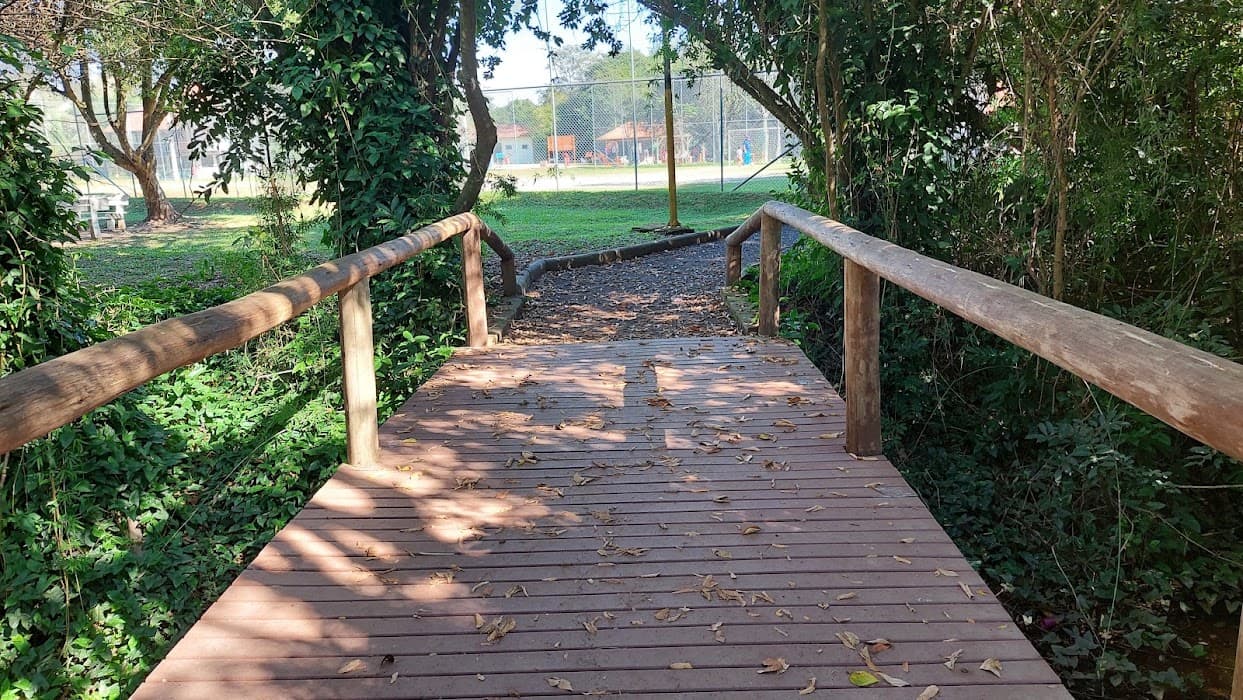 Descubra o Parque Natural Municipal Imperatriz Leopoldina e viva experiências ao ar livre