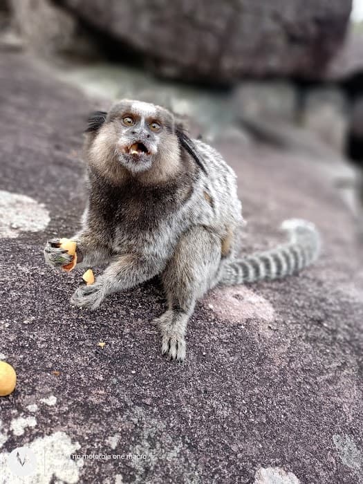Parque Municipal da Muritiba