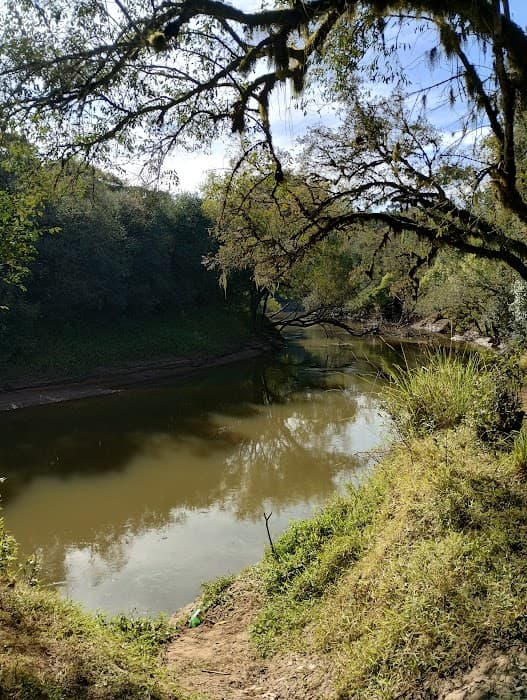 Reserva Biológica das Araucárias