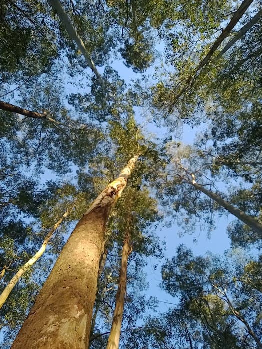 Apa Parque E Fazenda do Carmo