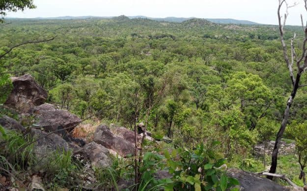 Parque Nacional do Juruena