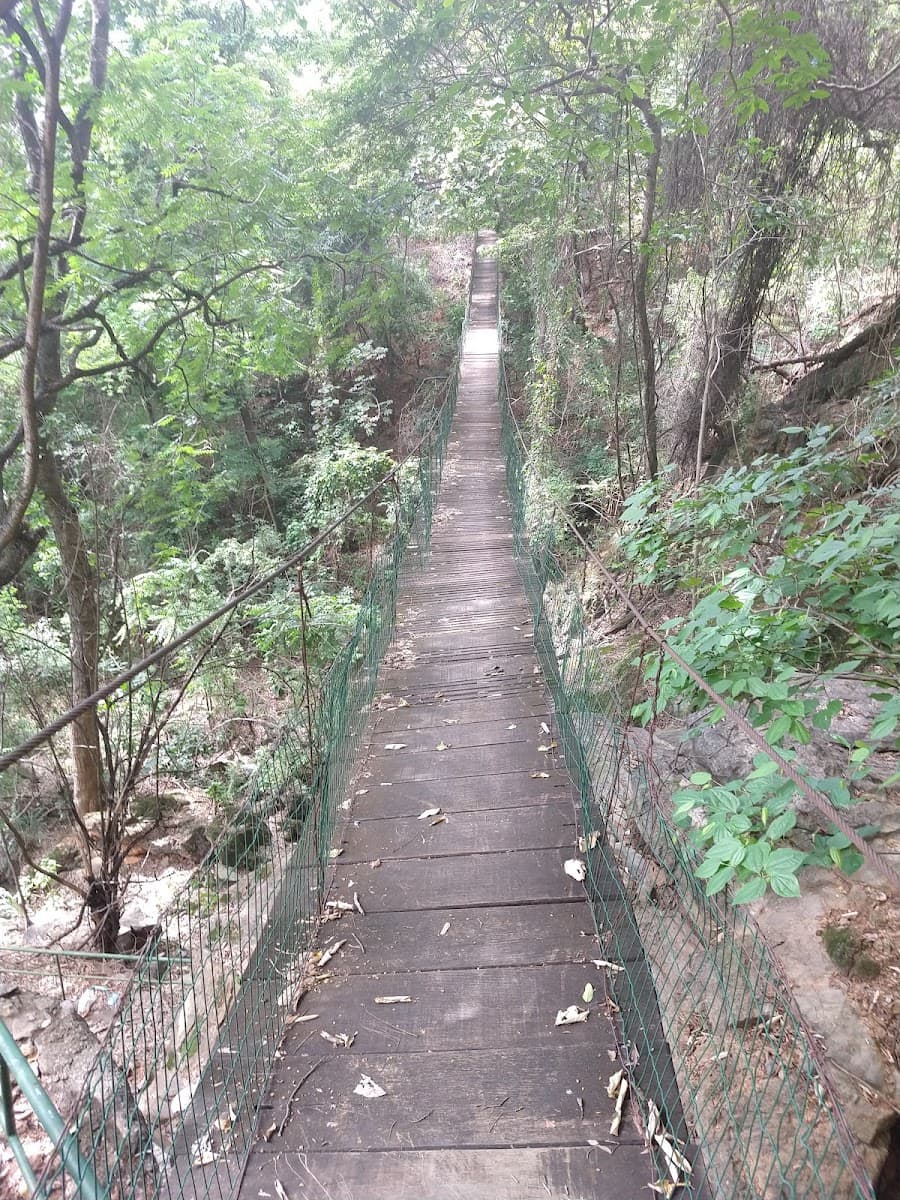 Parque Sapucaia