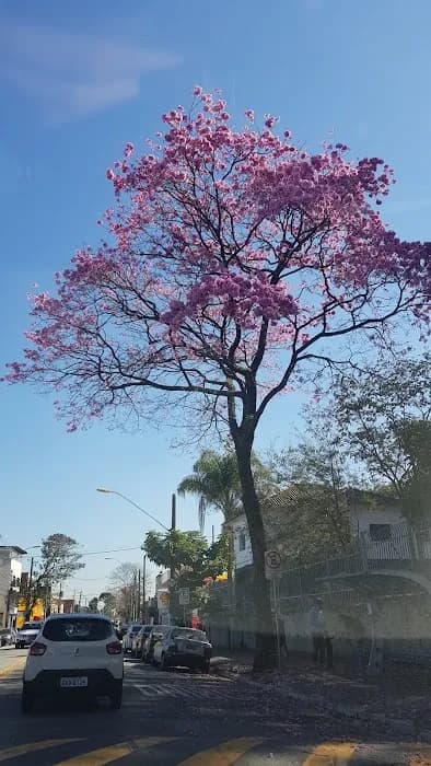 Parque Antônio Pezzolo Chácara Pignatari