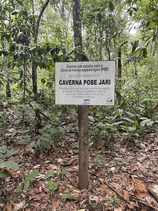 Descubra a beleza da Gruta da Lagoa Azul e explore suas águas e formações impressionantes