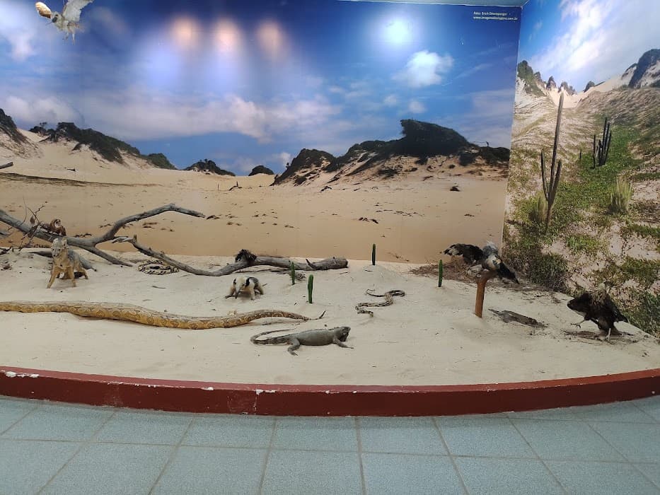 Parque das Dunas - Bosque dos Namorados