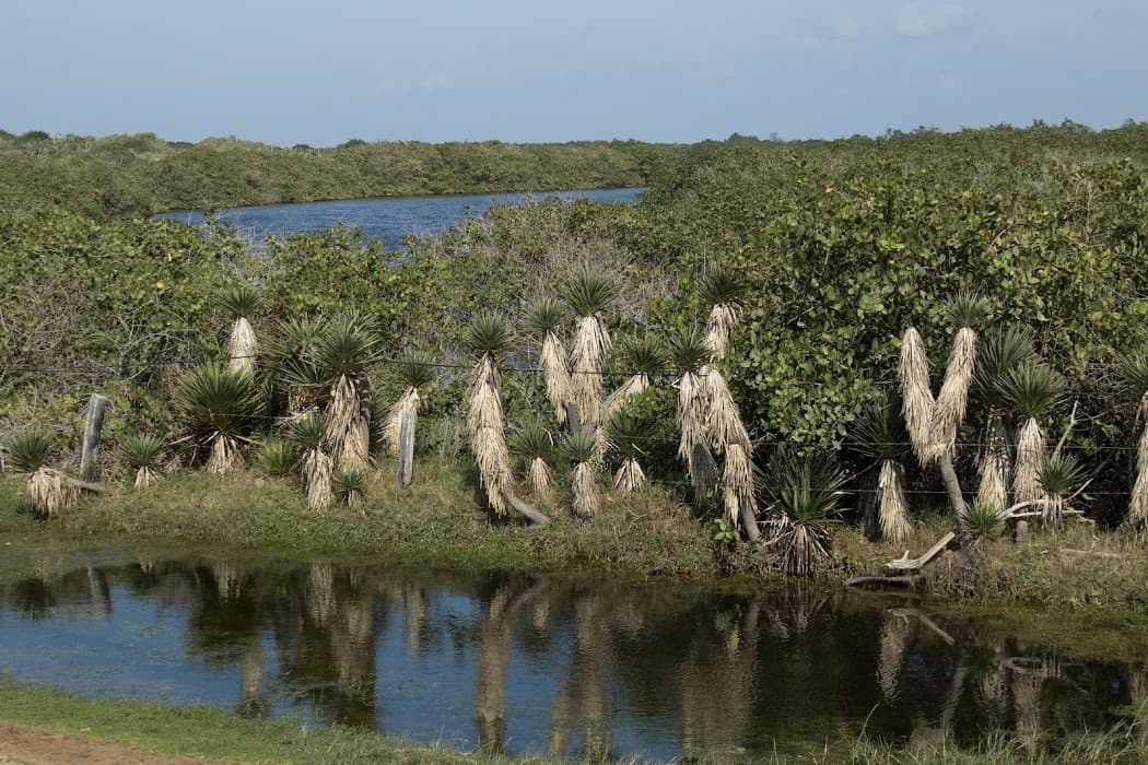 Parque Estadual da Lagoa do Açu