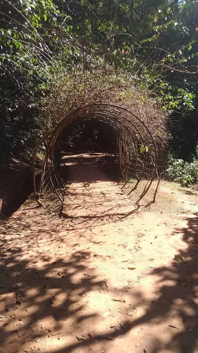 Descubra trilhas, natureza e tranquilidade no Parque Rego dos Carrapatos