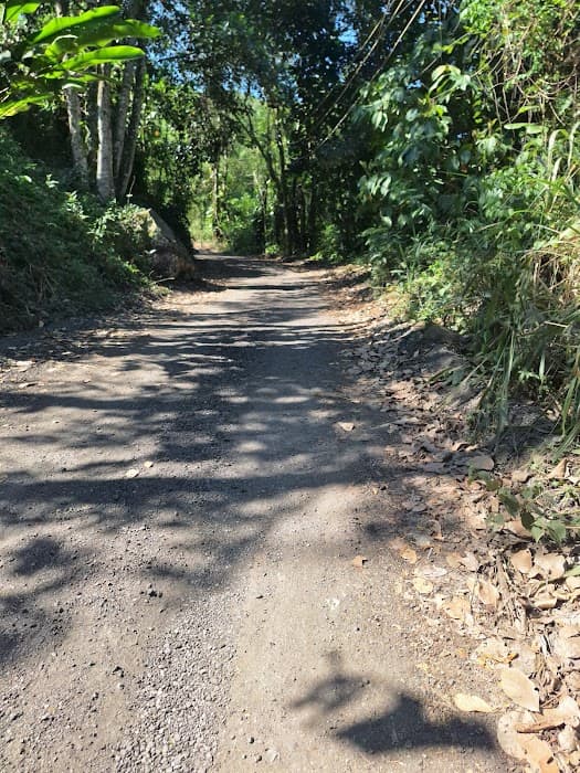 Descubra trilhas e belezas naturais no Parque Estadual do Mendanha em meio à natureza exuberante