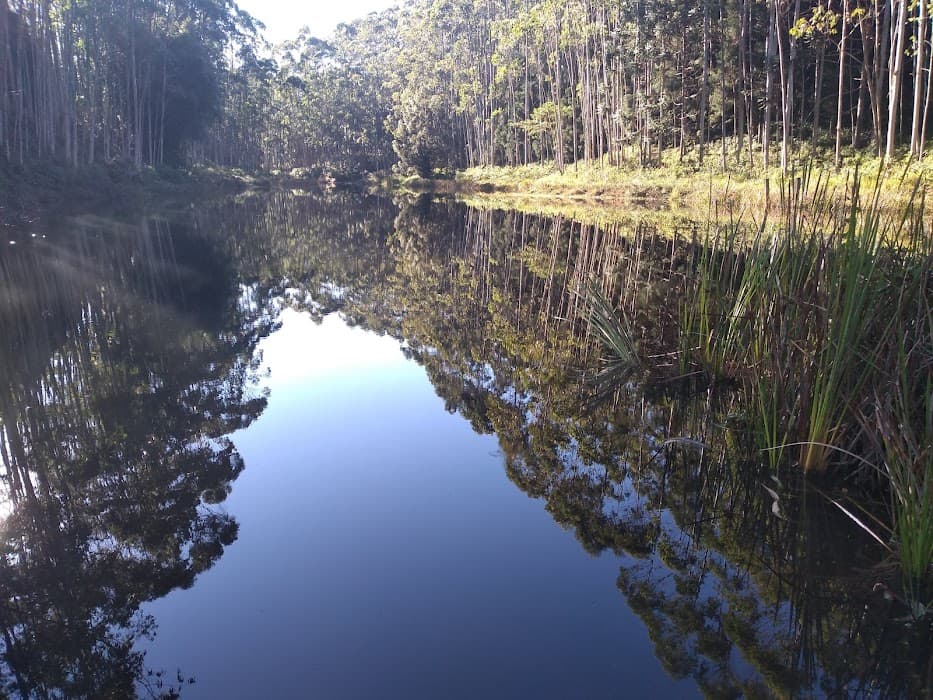 Visual - Sodrelândia, Trajano De Moraes RJ