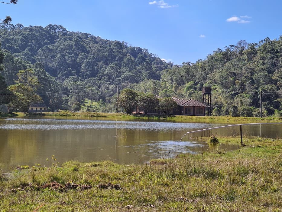 Descubra a natureza exuberante e as trilhas do Parque Estadual da Serra do Mar