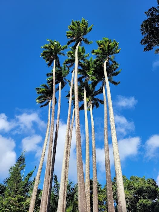Parque Zoobotânico Arruda Câmara (Bica)