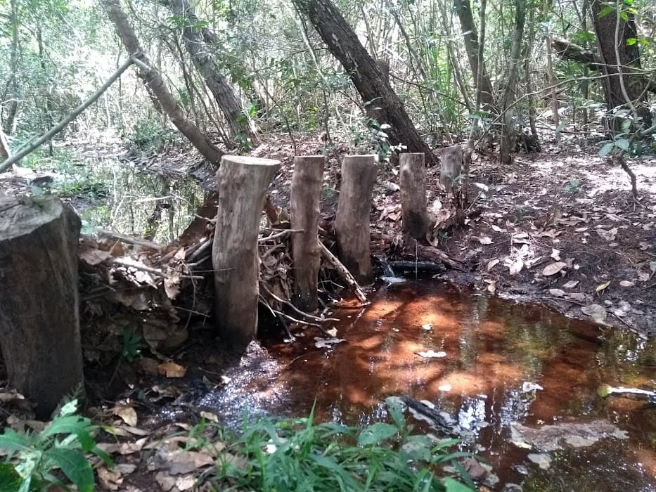 Centro de Visitantes