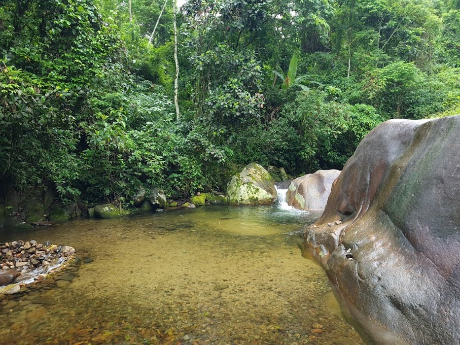 Descubra trilhas e belezas naturais no Parque Estadual da Pedra Branca em meio à natureza urbana
