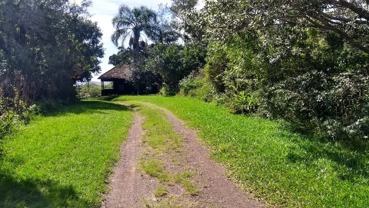 Descubra a beleza do Parque Estadual de Itapeva e explore trilhas e ecossistemas únicos