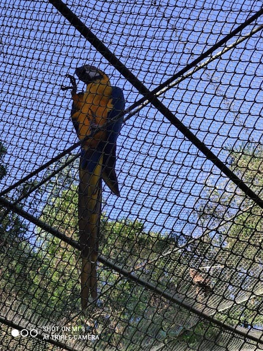 Orquidário Municipal de Santos