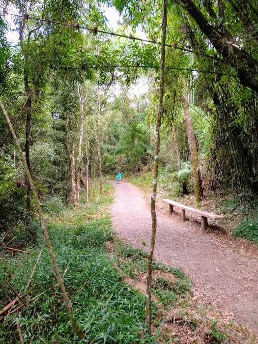 Monumento Natural Estadual Salto São João
