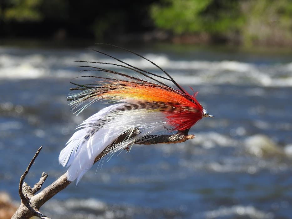 Parque Nacional do Acari