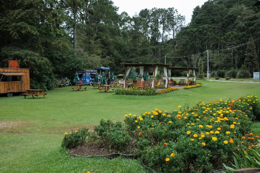 Descubra a natureza exuberante e as trilhas do Parque Estadual dos Mananciais de Campos do Jordão