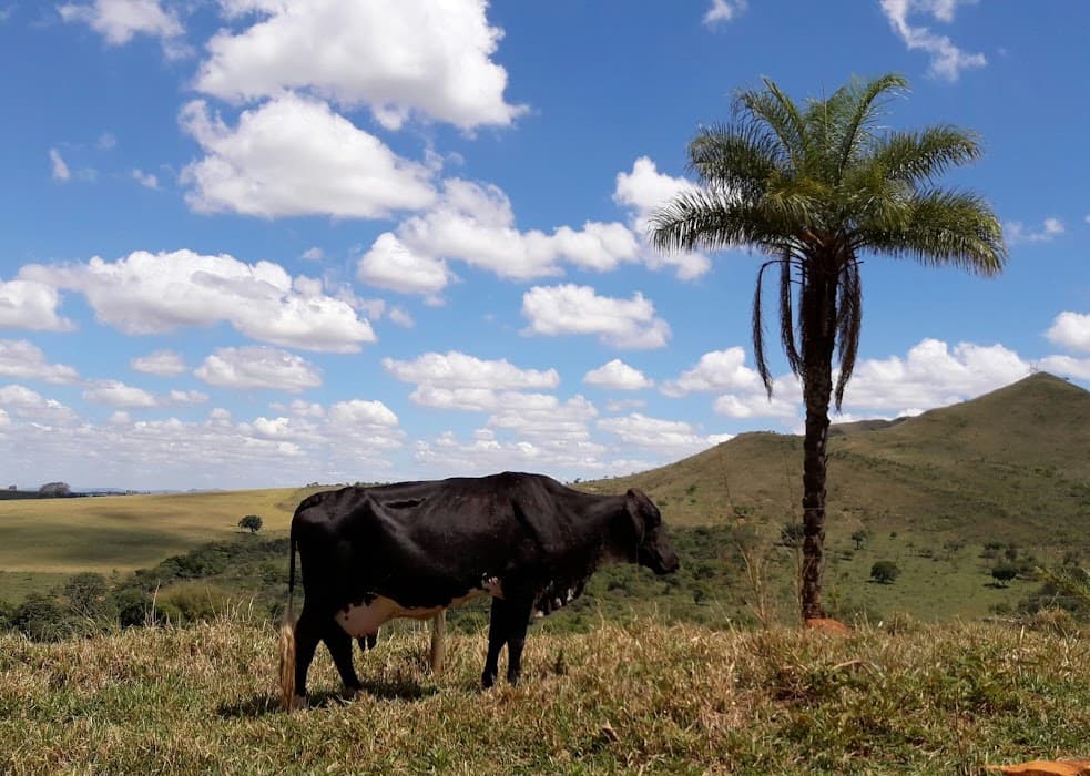 Sede Administrativa Parque Nacional da Serra da Canastra - ICMBio