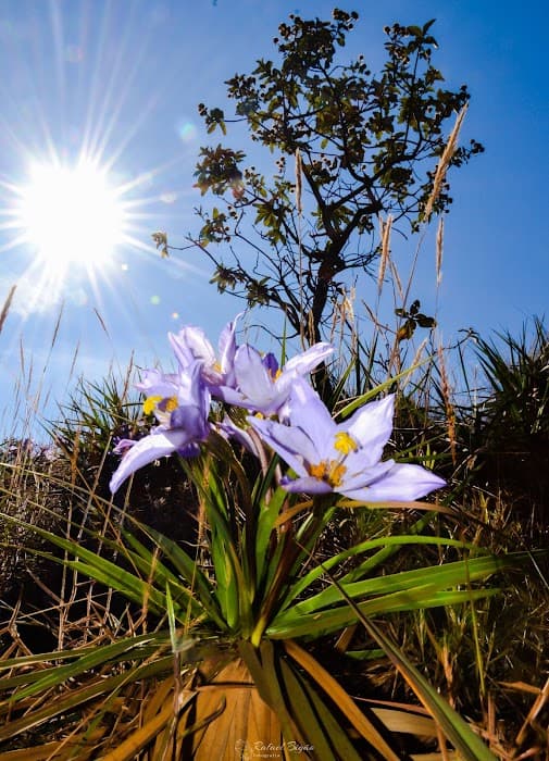 Parque Estadual da Serra do Rola Moça - Portaria 1