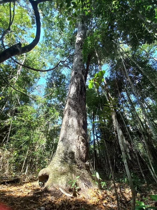 Parque Nacional da Chapada Diamantina
