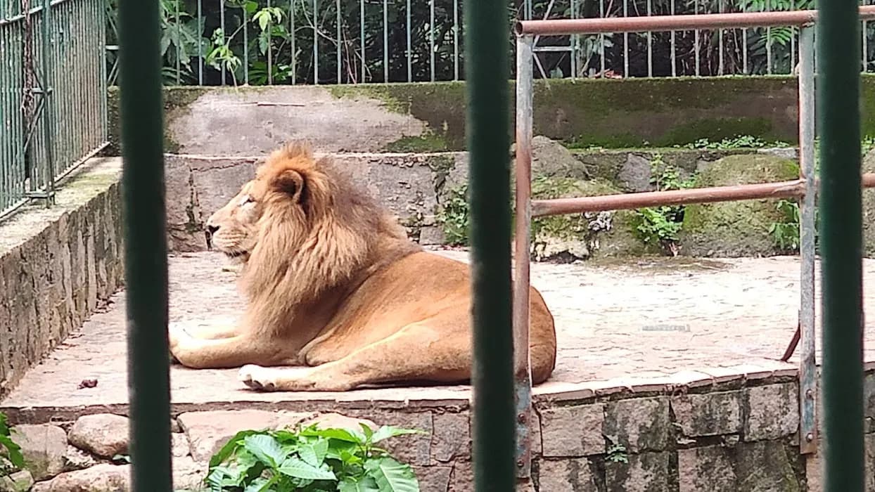 Parque Bosque dos Jequitibás