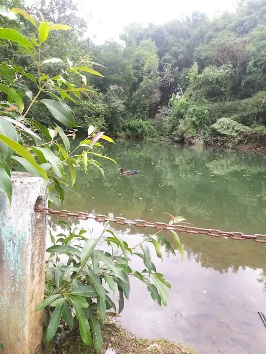 Parque Henriqueta Libertucci