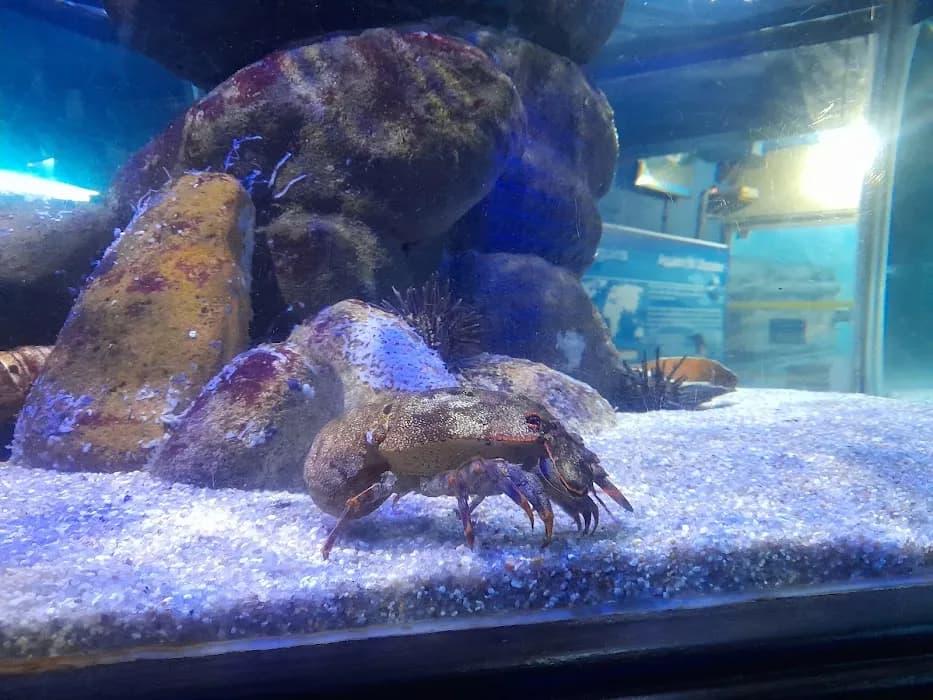 Parque Estadual da Ilha Anchieta