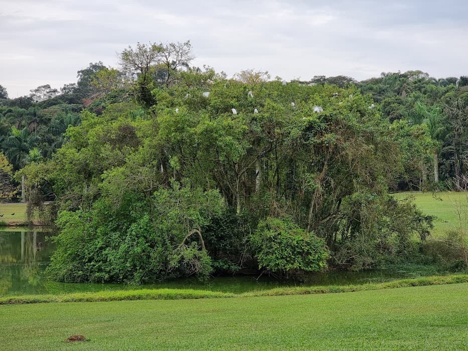 Descubra a natureza e a biodiversidade no Parque Estadual das Fontes do Ipiranga com trilhas e passeios