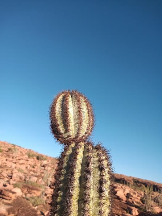 Descubra a beleza do Parque Estadual do Morro do Chapéu e suas trilhas e paisagens deslumbrantes