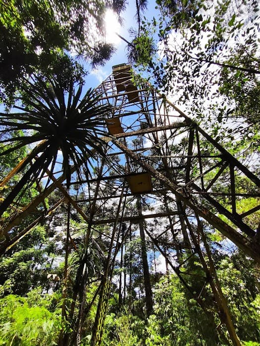 Floresta Nacional de Assungui