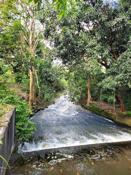 Jardim Botânico Benjamin Maranhão