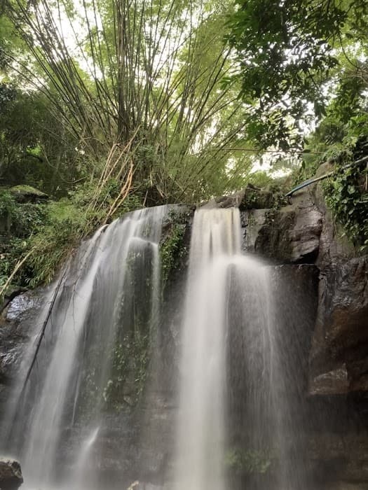Reserva Particular do Patrimônio Natural Ipuçaba