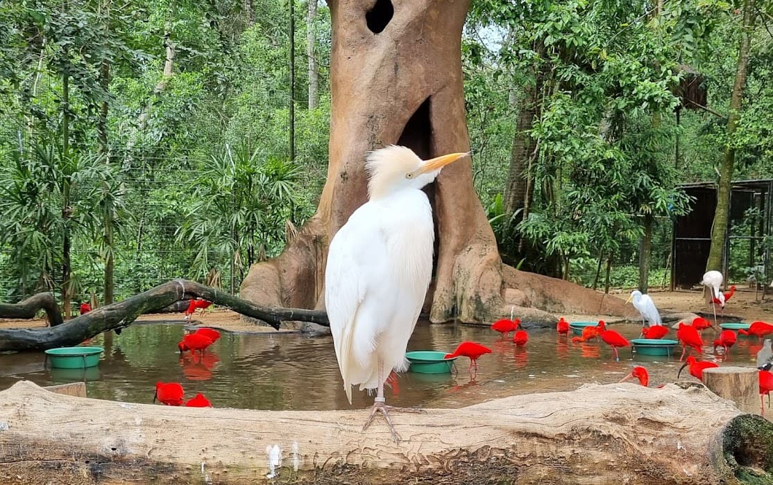 Parque Nacional do Iguaçu