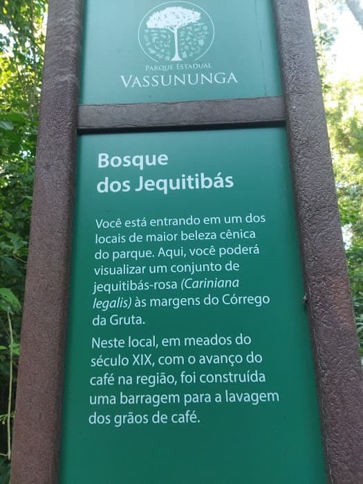 Descubra a natureza exuberante e as trilhas do Parque Estadual de Vassununga em São Paulo