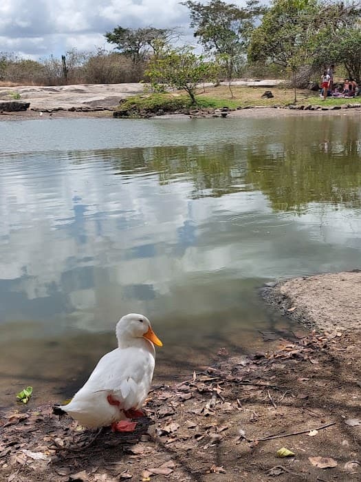 Parque Ecológico Municipal das Baraúnas