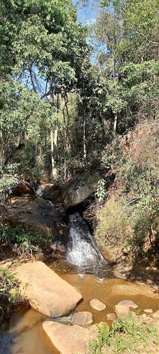 Descubra o Parque Estadual Mata do Limoeiro e explore trilhas, cachoeiras e ecoturismo