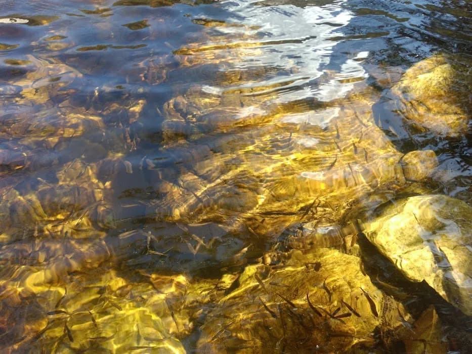 Parque Estadual Serra Nova E Talhado