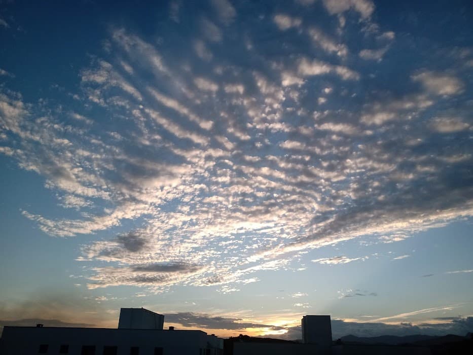 Parque Estadual do Rio Doce