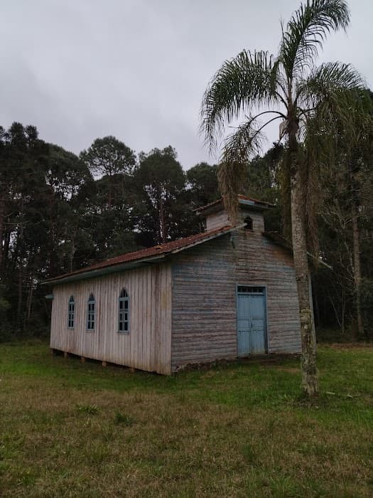 Explore trilhas, observação de aves e contato com a natureza na Floresta Nacional de Irati